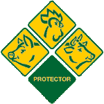 Protector SA